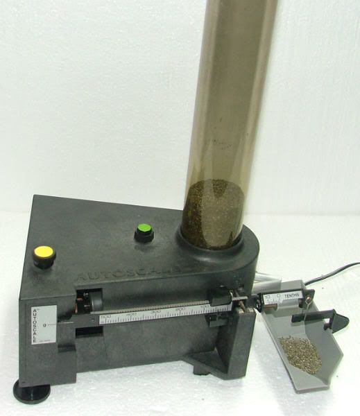 Autoscale.jpg