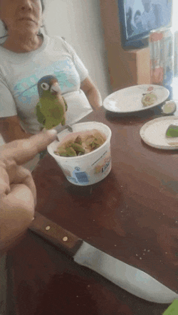 tumblr_pr13tdo1321xoyw8po1_400.gif