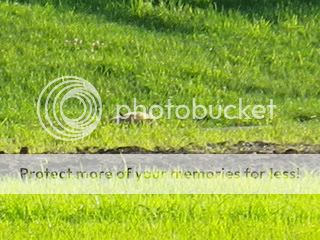 IMGP0007.jpg