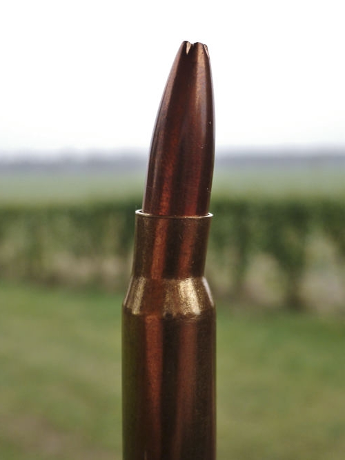 g96vvgn.jpg