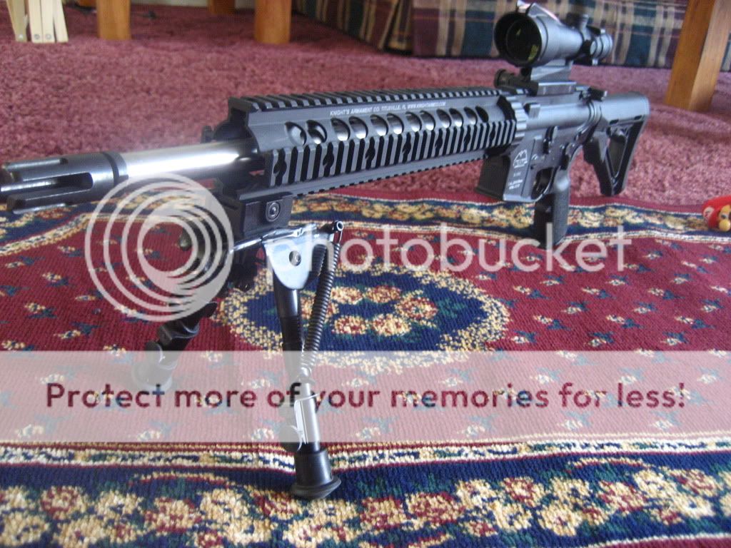 MyTargetGuns442.jpg