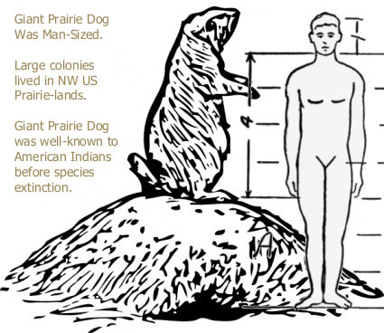 pdog002.jpg
