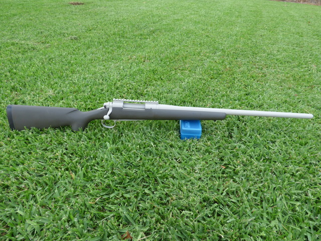 Lwhole2506.JPG