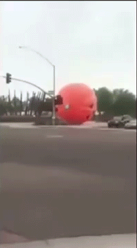 tumblr_nx6ogk78Nw1rc7zl1o2_250.gif