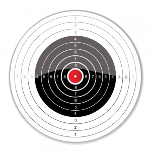 bigstock_vector_target_140416821-300x300.jpg