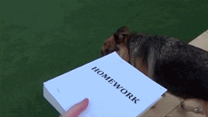 tumblr_o1z1miKV9z1shholio1_400.gif