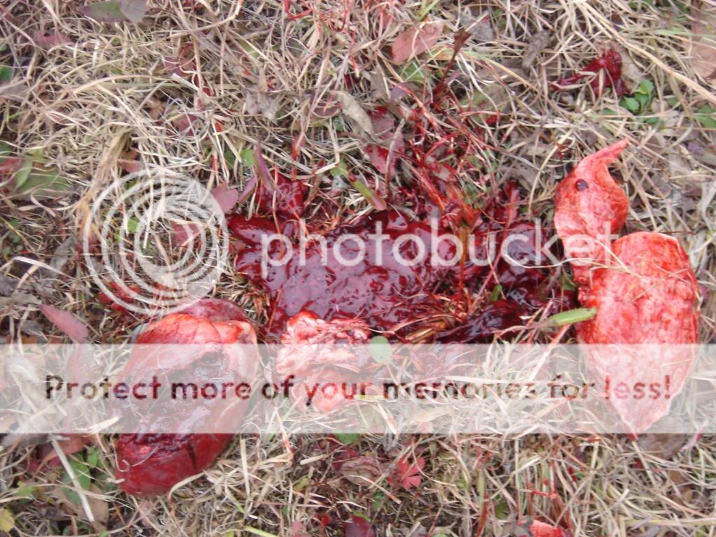 hunting08027.jpg
