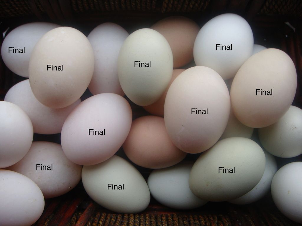 weeks-worth-of-eggs-8_zpsw8hloelt.jpg