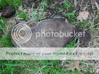 IMGP0001-002.jpg