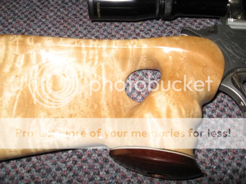 IMG_0869Medium.jpg