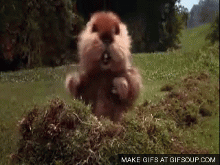 giphy.gif