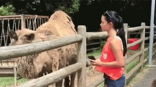 tumblr_pourvwCP391ry46hlo1_500.gif