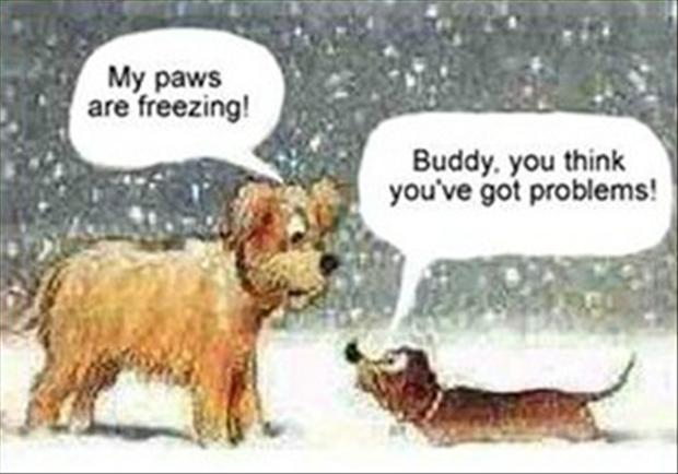 funny christmas card ideas