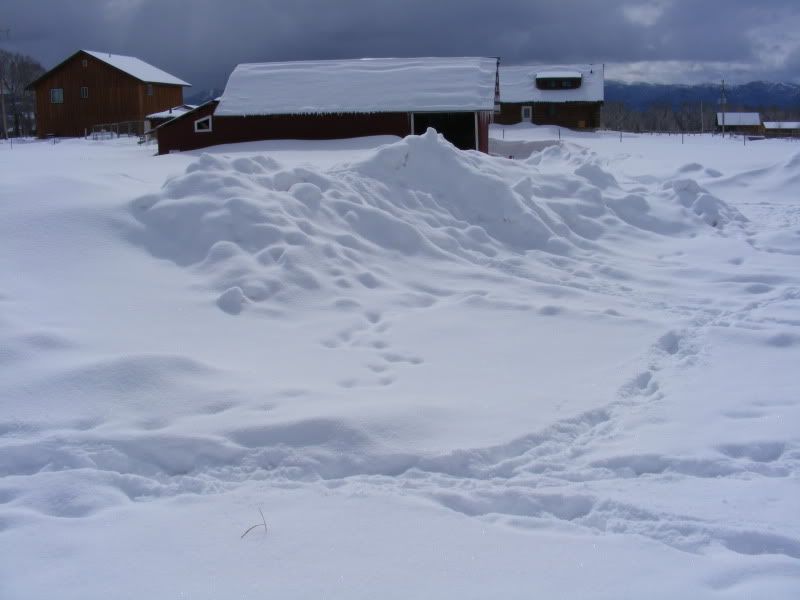 DSCF0593.jpg