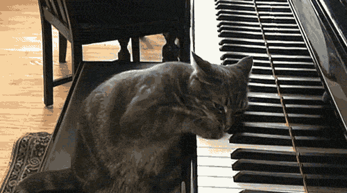 tumblr_nzkgh5Rw4a1uuaa97o1_500.gif