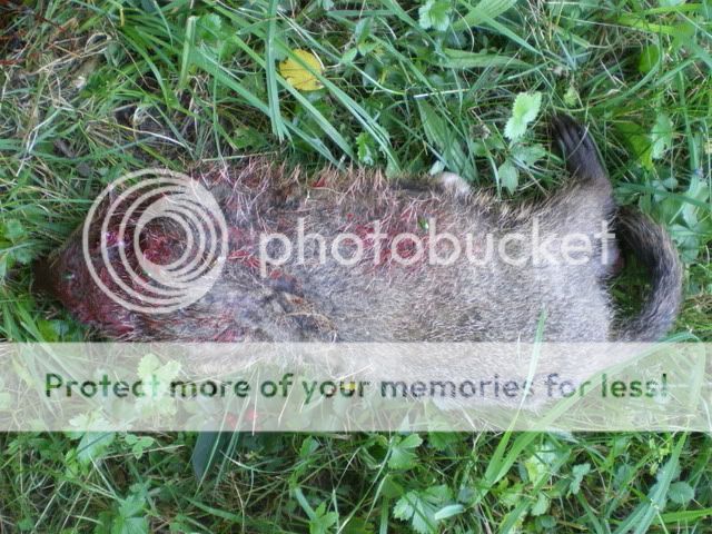 IMGP6030.jpg