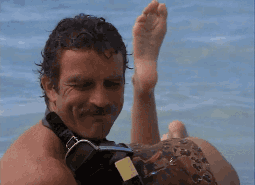 tumblr_puiy765krG1y0s4d1o1_500.gif