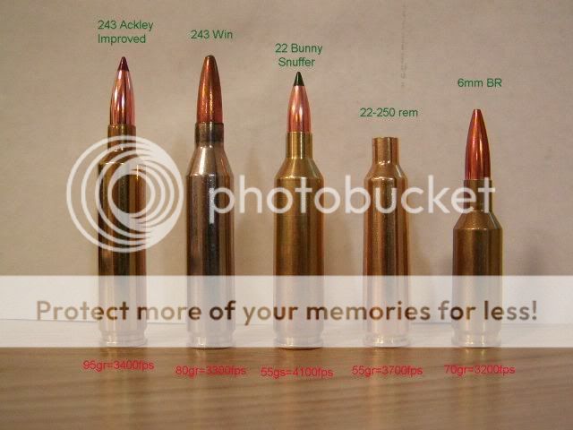 rifles045.jpg