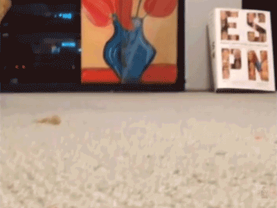 tumblr_nvm9a0YCSD1ry46hlo1_400.gif