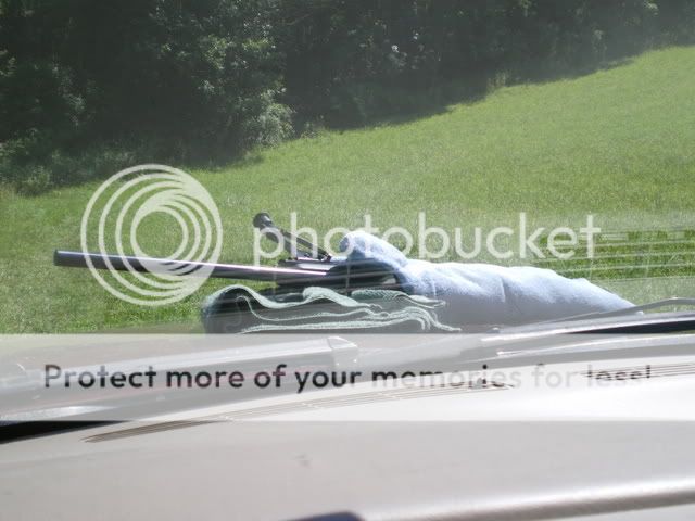 IMGP6039.jpg
