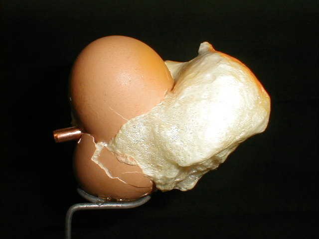 Egg2-vi.jpg
