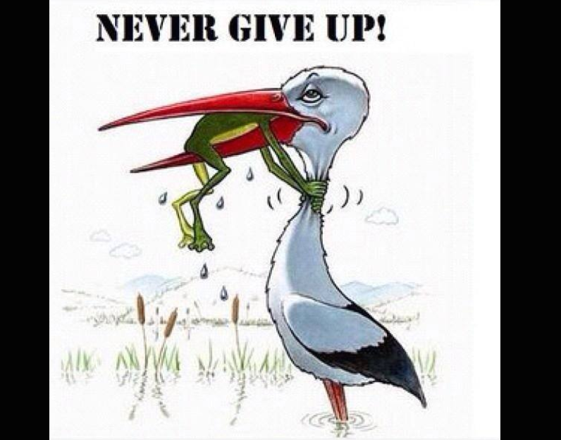 Frog-choking-bird.png