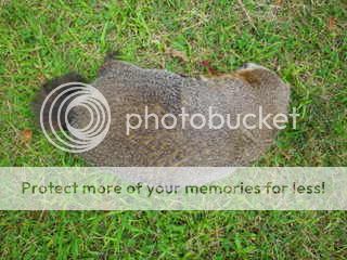 IMGP0072.jpg