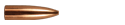 24407-web-bullet.png