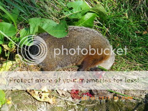 IMGP0025.jpg