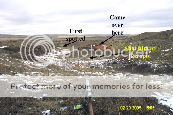 Panorama_text--small.jpg