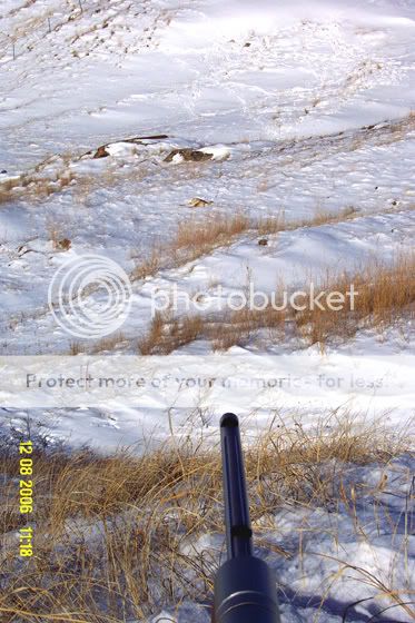 Coyote_over_gun_barrel--small.jpg