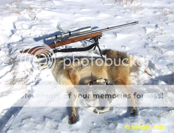 Yote_Call_Gun--small.jpg