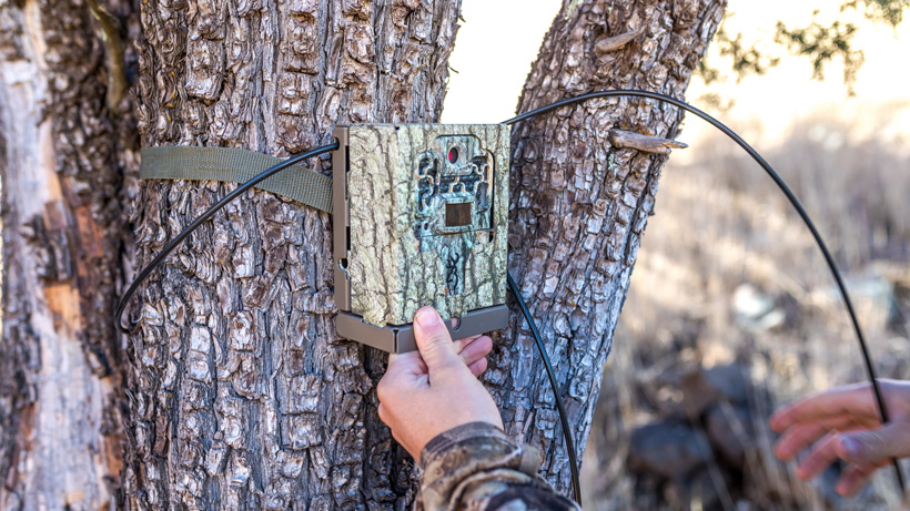 Potential Arizona trail camera ban for hunting Potential Arizona trail camera ban for hunting