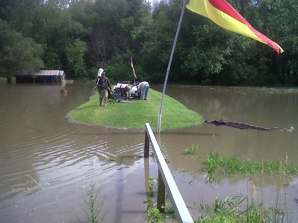 accurateandreliablerifle.com