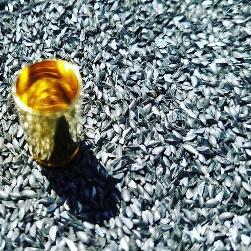 www.ammobrass.com